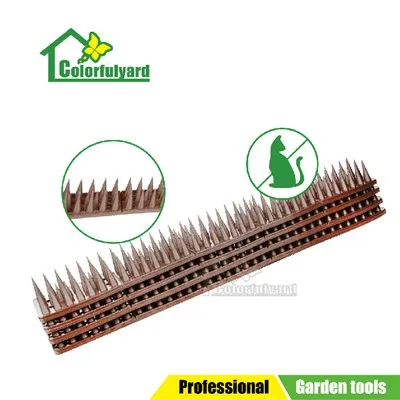 קוצים של ציפורים